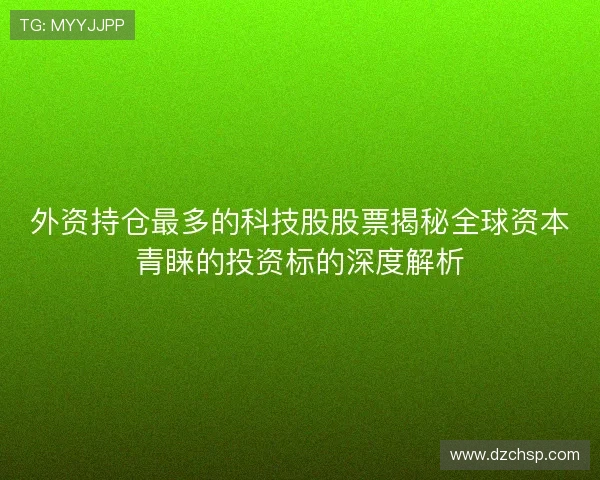 外资持仓最多的科技股股票揭秘全球资本青睐的投资标的深度解析